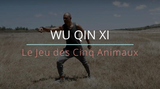 WU QIN XI - Le Jeu des 5 Animaux (n°1)